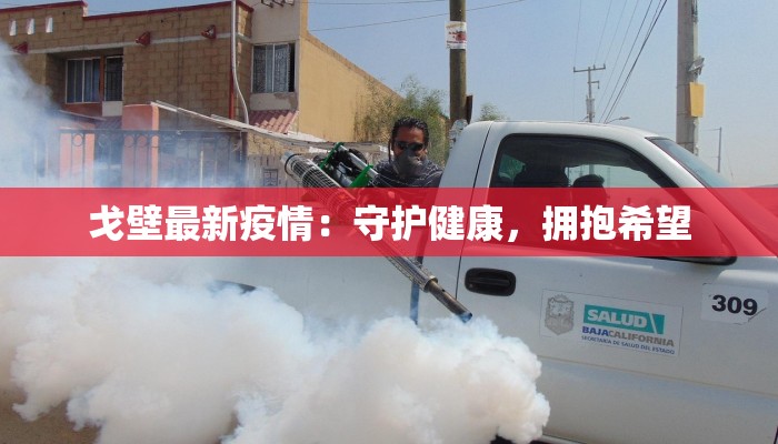 戈壁最新疫情：守护健康，拥抱希望