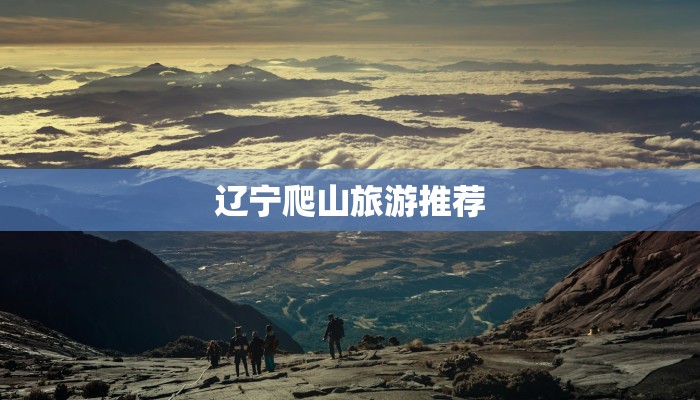 最新疫情通知放假