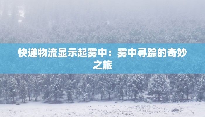 快递物流显示起雾中：雾中寻踪的奇妙之旅