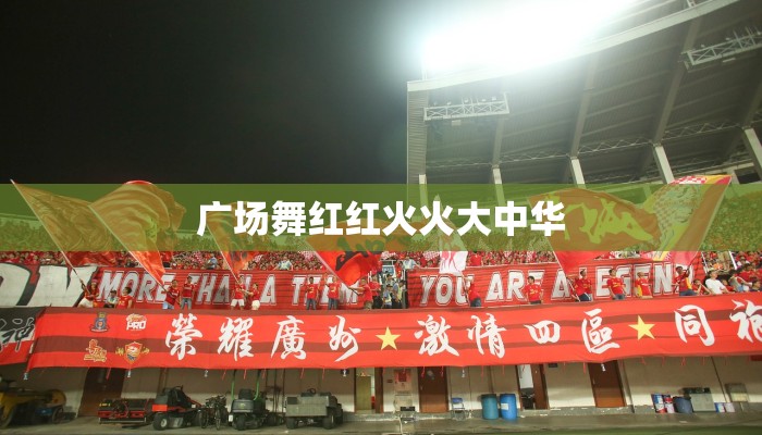广场舞红红火火大中华