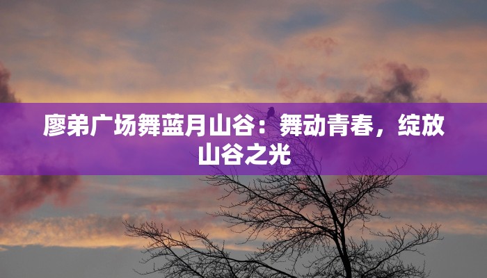 廖弟广场舞蓝月山谷：舞动青春，绽放山谷之光