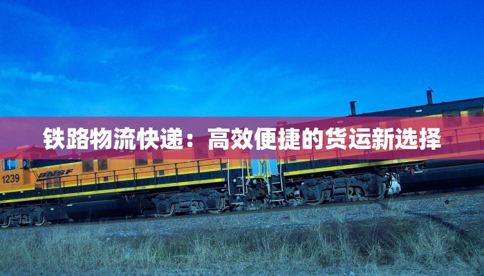 体育锻炼的魅力：点燃健康生活的新火种