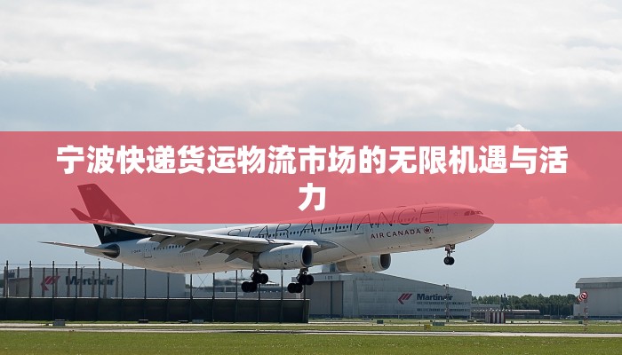 宁波快递货运物流市场的无限机遇与活力 宁波快递货运物流市场的无限机遇与活力