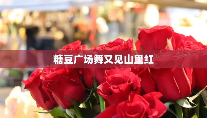 糖豆广场舞又见山里红