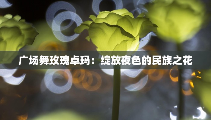广场舞玫瑰卓玛：绽放夜色的民族之花