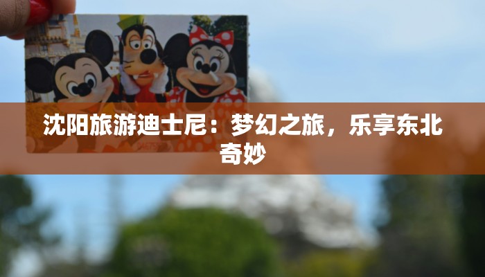 沈阳旅游迪士尼：梦幻之旅，乐享东北奇妙
