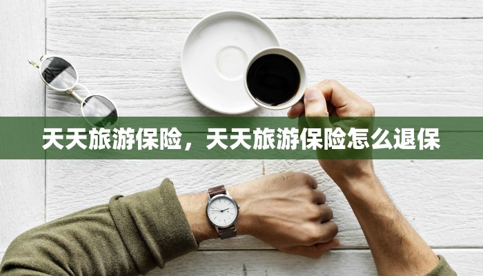 天天旅游保险，天天旅游保险怎么退保