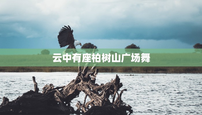 云中有座柏树山广场舞