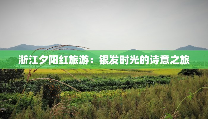 服装纸样省道转移：时尚设计的秘密武器，轻松实现高效转型