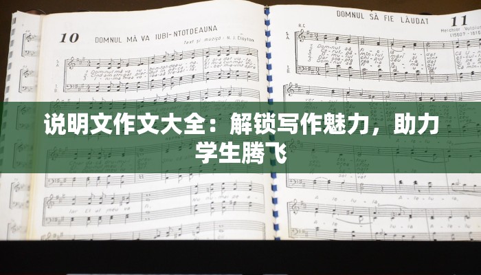 说明文作文大全：解锁写作魅力，助力学生腾飞